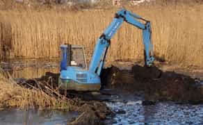 Чистимо берег від комишу, копаємо ставки, заходи для човнів, катерів