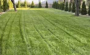 Покіс трави, спил, обріз дерев, культивація мотоблоком, дроблення гілок