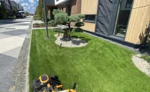 Стрижка газону, косіння трави. Догляд за територією. Послуги садівника.