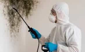 Видалення цвілі та грибка зі стін, стель і інших поверхонь