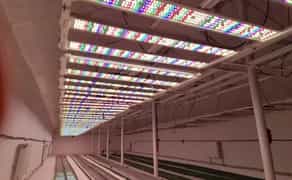 Теплиці та виробничі приміщення , комерційне приміщення