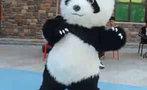 Аніматор Панда/Мікімаус. Привітання на день народження, святкові дні!