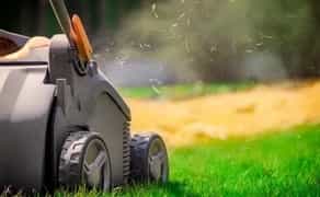 Аерація, Вичісування та відновлення газону – здоровий трав’яний покрив