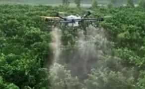 Внесення добрив агродроном. Професійно та вчасно