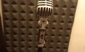 Ретро мікрофон Shure 55SH SERIES 2