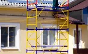 Вишка тура, ліса.