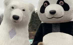 Костюми з нашими аніматорами. Білий ведмедик, Патрон, Панда