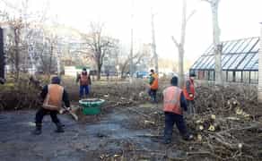 Вивезення смітя, розчистка територій, обрізка дерев