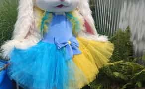 Пропонуємо послуги аніматорів,та експрес привітання