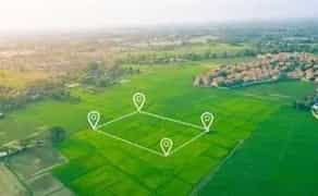 Винесення меж земельної ділянки