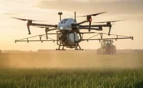 Послуги агродрону/послуги десикації