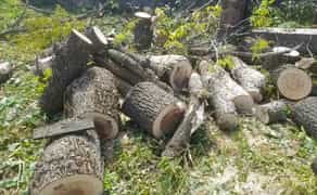 Благоустрій розчистка участка уборка покосити бур'ян зрізати дерево