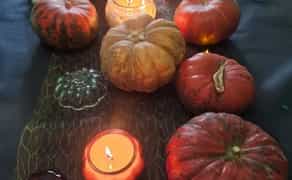 Майстер Клас Розпис Гарбуза 600 грн.