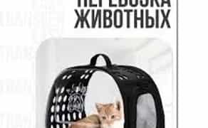 Допомога у перевезенні тварин до Європи та по Україні від 1 500 грн.