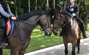 Кінна прогулянка лісом