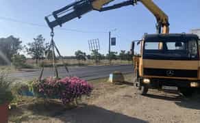 Кран Маніпулятор Перевозка Посадка Рослин