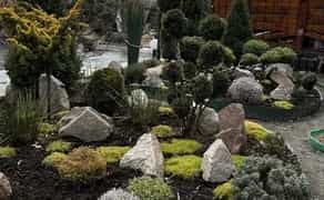 Ландшафтний дизайн вашої мрії: Створю оазис затишку на вашій ділянці.