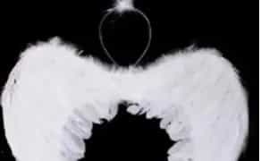 Крила янгола + нимб (до Костюма янгола)