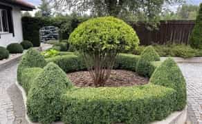 Ландшафтні роботи