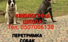 Перетримка Собака"Кінологічна ШКОЛА"