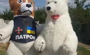 Розваги , пес патрон, ведмедик , привітання