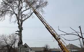 Автовишка погодинно