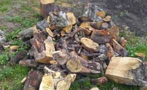 Видалення дерев,кущів,порізка дров,корчування пеньків.