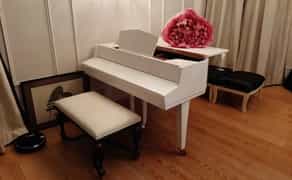 Рояль білий, чорний.