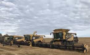 Комбайн CATERPILLAR lexion 480 (1929)