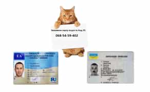 Карта водія для цифрового тахограва, Код 95, АДР швидко,БЕЗ ПРЕЛОПЛАТИ