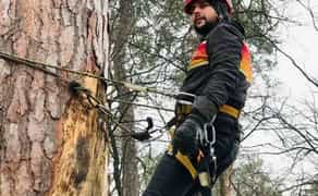 Спилити дерево Харків, область, видалення небезпечних гілок