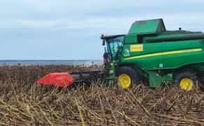 Збирання врожаю пшениці та соняшника