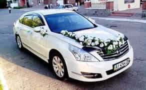 141 Авто на весілля Nissan Teana біла з водієм