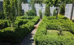 Садівник, газон, обрізка, обробка, топіарі, ниваки, стрижка туй