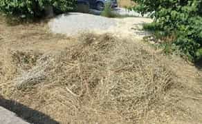 Вивіз сміття + навантаження приїдемо будь-яку точку міста за 30 хв.