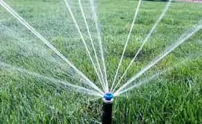 Автоматичний полив, рулонний газон