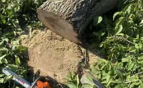 Професійне видалення дерев - швидко, безпечно, надійно!