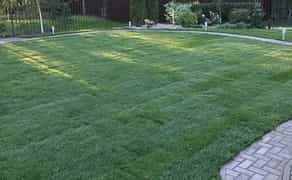 Стрижка газону (покіс трави)