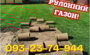 ДОВГОВІЧНИЙ ГАЗОН! Укладка рулонного газону та сіяний під КЛЮЧ!