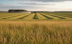 Косарка, покіс трави готова до роботи