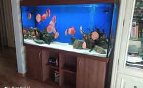 Професійне виготовлення акваріумів під індивідуальне замовлення будь-яких форм, розмірів та складності конструкції