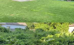 Рулонний/Посівний газон + Автополив + Обслуговування