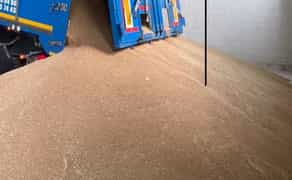 Ангар ,Цех,Склад 100 $