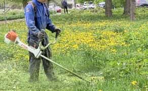 Покіс трави в Харкові та області