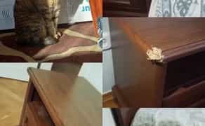 Реставрація і ремонт Дверей, Вікон та Меблів. Професійний підхід - низькі ціни!