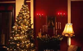 Скоро Новий рік! Привіт я Фотограф. Новорочні локації, зйомка.