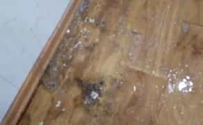 Чи не Фірма Прибирання квартир!