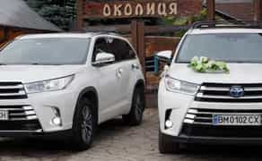 Авто Свадебный кортеж авто на свадьбу Сумы