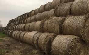 Виготовляємо лінію гранулювання на базі гранулятора ОГМ-1.5