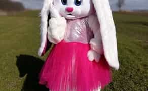 Привітання ростових ляльок Київ Мішка Тедді, Зайка Мими, пес Патрон